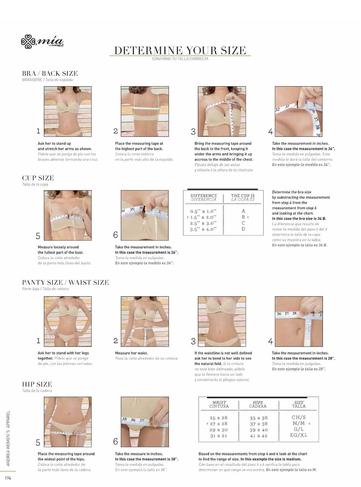 Ver Catalogo