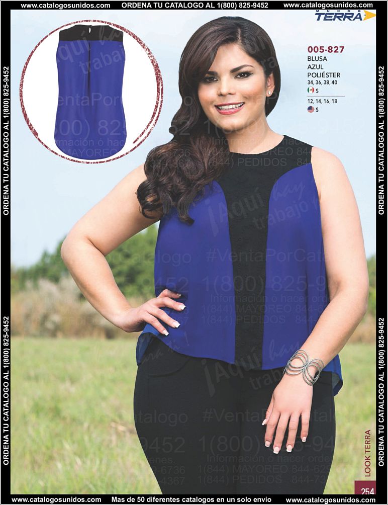 Look_Page_255