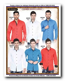 <small>Ver Catalogo<small>