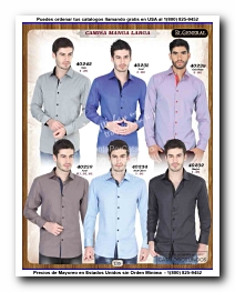 <small>Ver Catalogo<small>