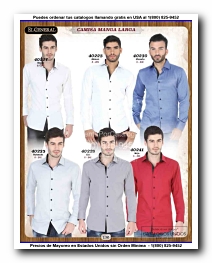 <small>Ver Catalogo<small>