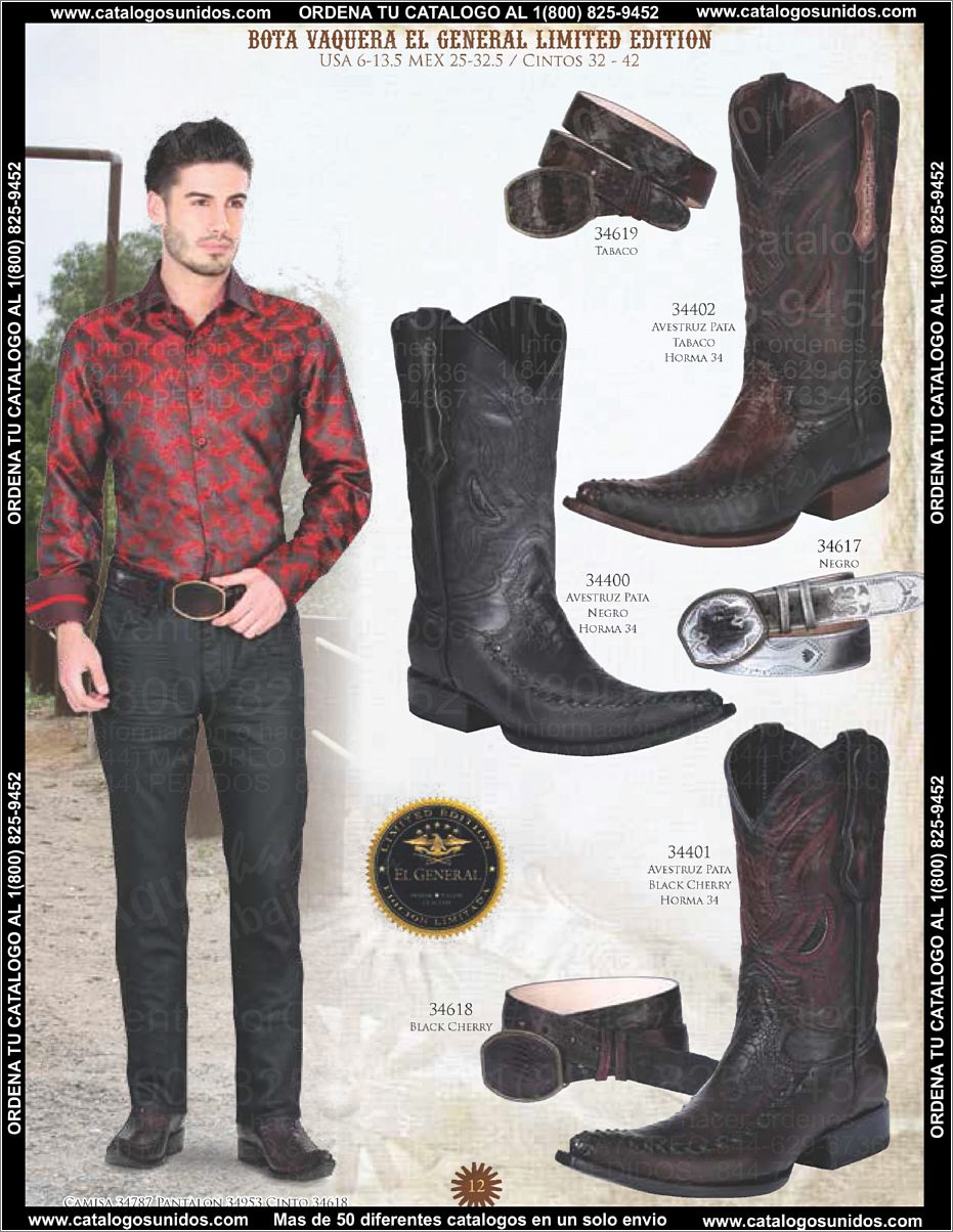ElGeneralOI2015_Page_013