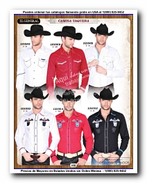 <small>Ver Catalogo<small>