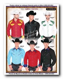 <small>Ver Catalogo<small>