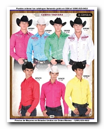 <small>Ver Catalogo<small>