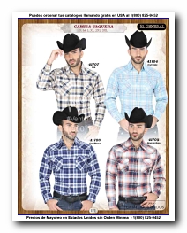 <small>Ver Catalogo<small>