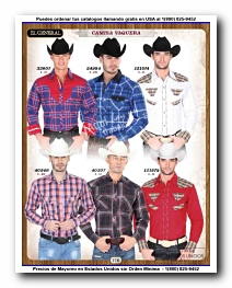 <small>Ver Catalogo<small>