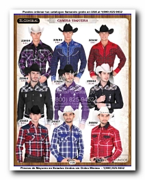 <small>Ver Catalogo<small>