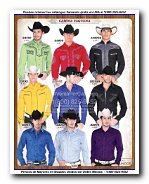 <small>Ver Catalogo<small>