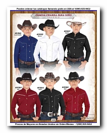 <small>Ver Catalogo<small>