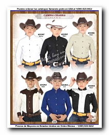 <small>Ver Catalogo<small>