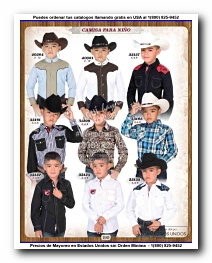 <small>Ver Catalogo<small>