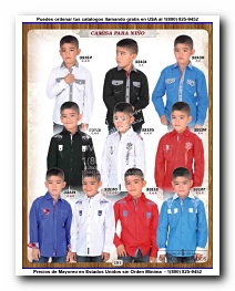 <small>Ver Catalogo<small>