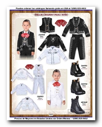 <small>Ver Catalogo<small>