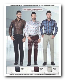 <small>Ver Catalogo<small>