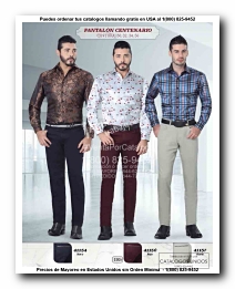 <small>Ver Catalogo<small>