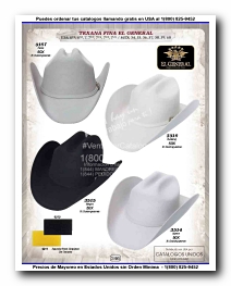 <small>Ver Catalogo<small>