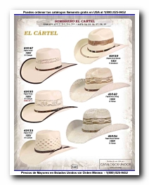 <small>Ver Catalogo<small>