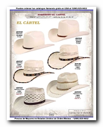 <small>Ver Catalogo<small>