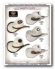 <small>Ver Catalogo<small>