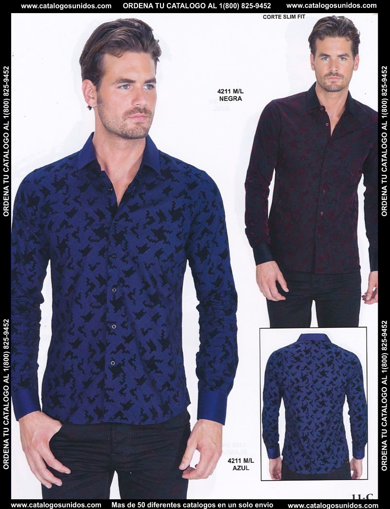 Lamasini_OI_2015_2016_011