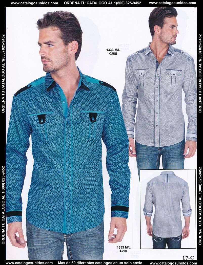 Lamasini_OI_2015_2016_017