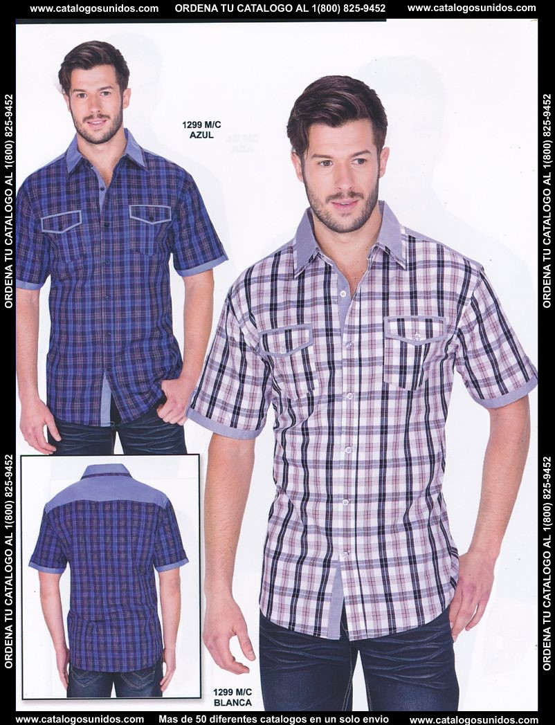 Lamasini_OI_2015_2016_186