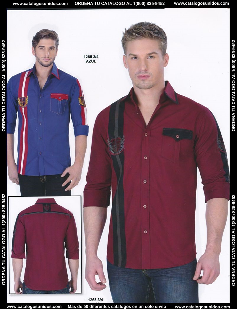 Lamasini_OI_2015_2016_196