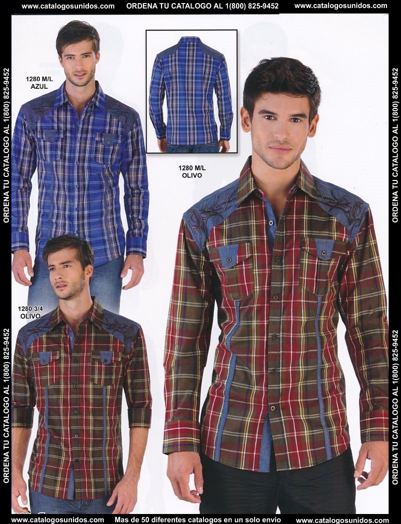 Lamasini_OI_2015_2016_202