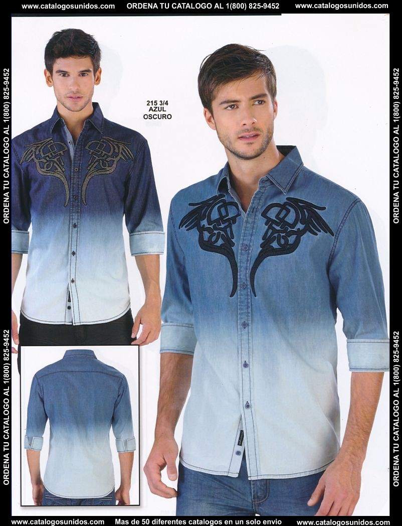 Lamasini_OI_2015_2016_206