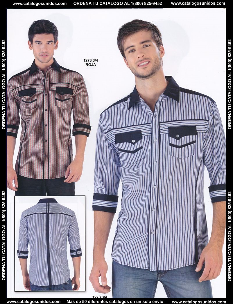 Lamasini_OI_2015_2016_208