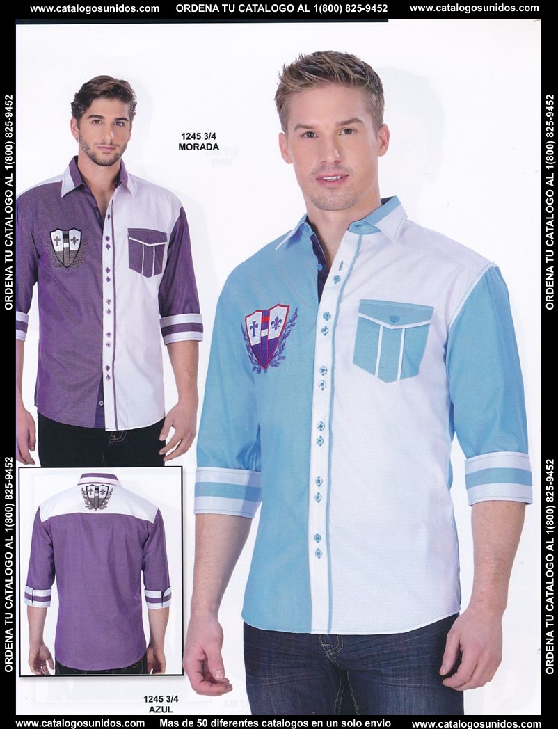 Lamasini_OI_2015_2016_212