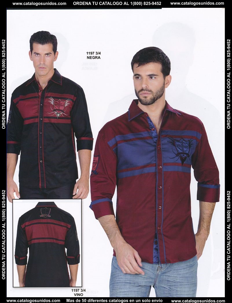 Lamasini_OI_2015_2016_216