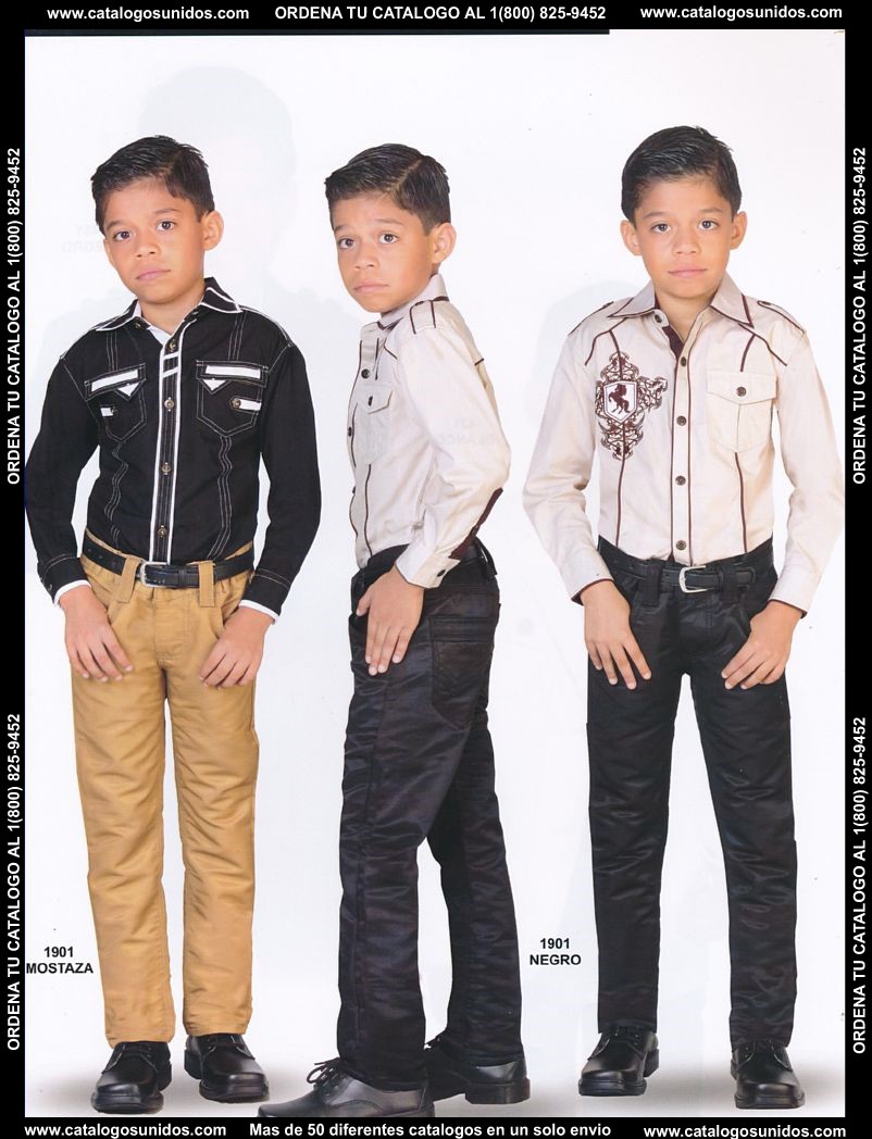 Lamasini_OI_2015_2016_232