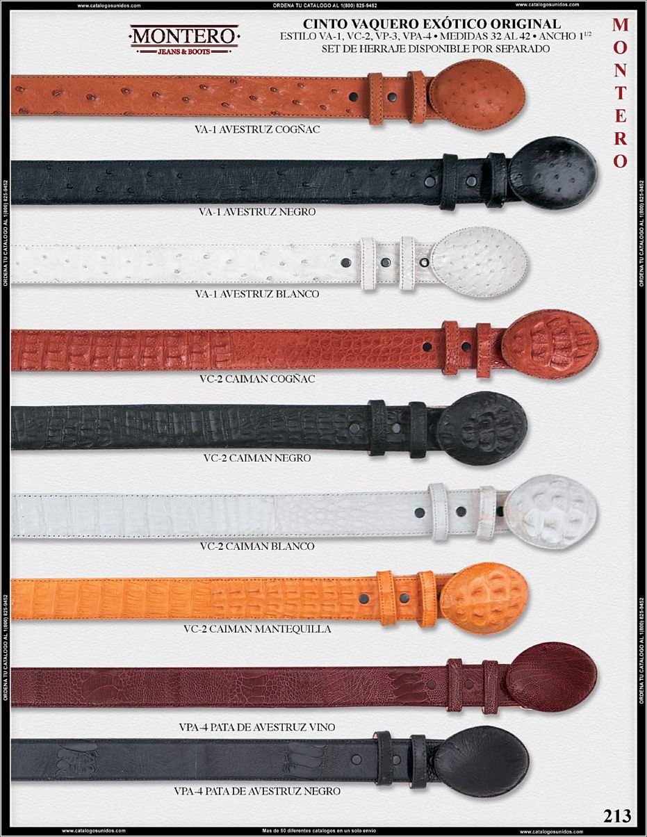 Montero_OI_2015_2016_Page_213