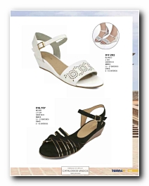 Ver Catalogo