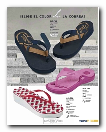Ver Catalogo