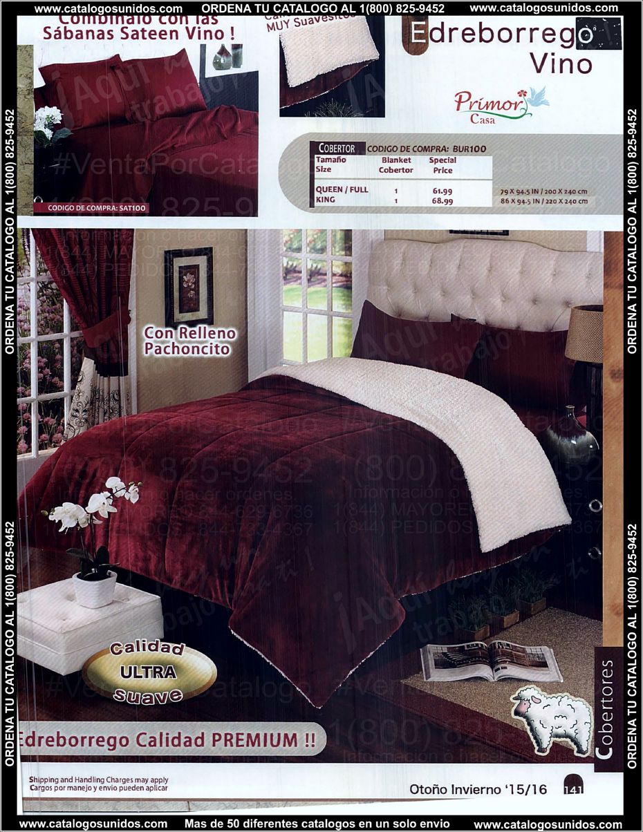 Primor-OI-2015-2016_Page_141