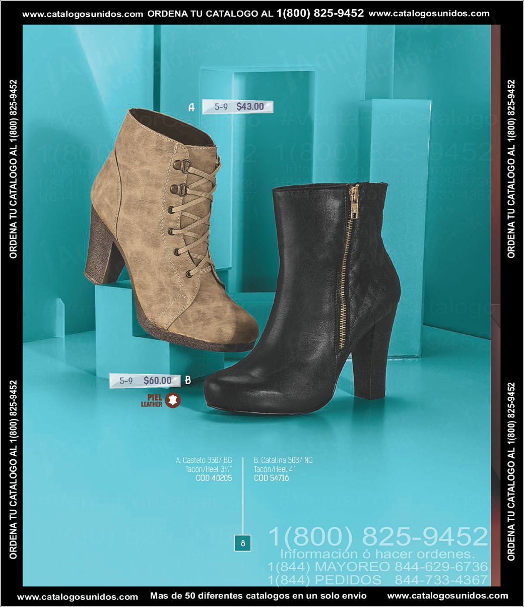 SCPakar_OI_2015_2016_Page_008